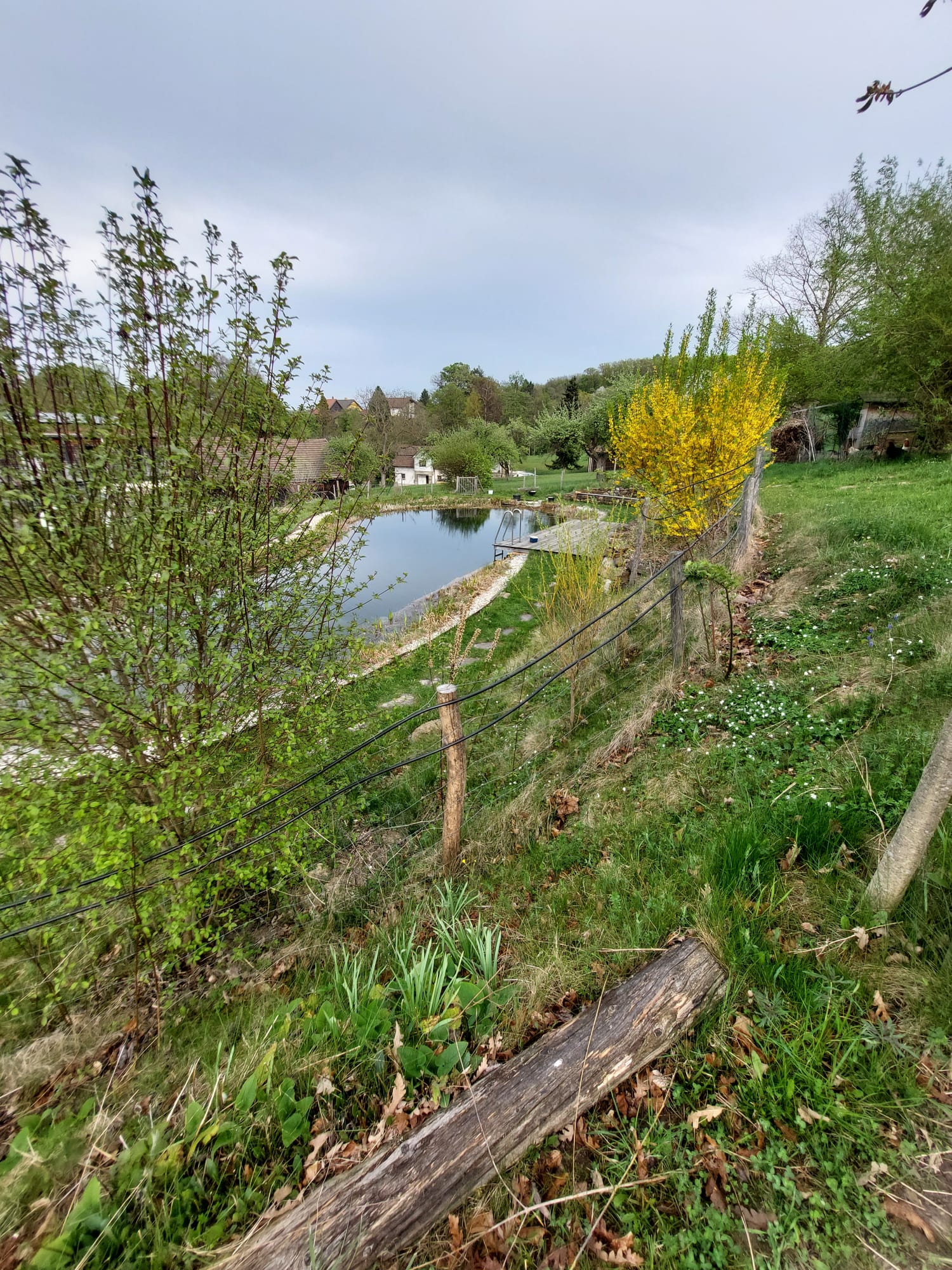 Garten 1 – Gemeinschaftsgarten